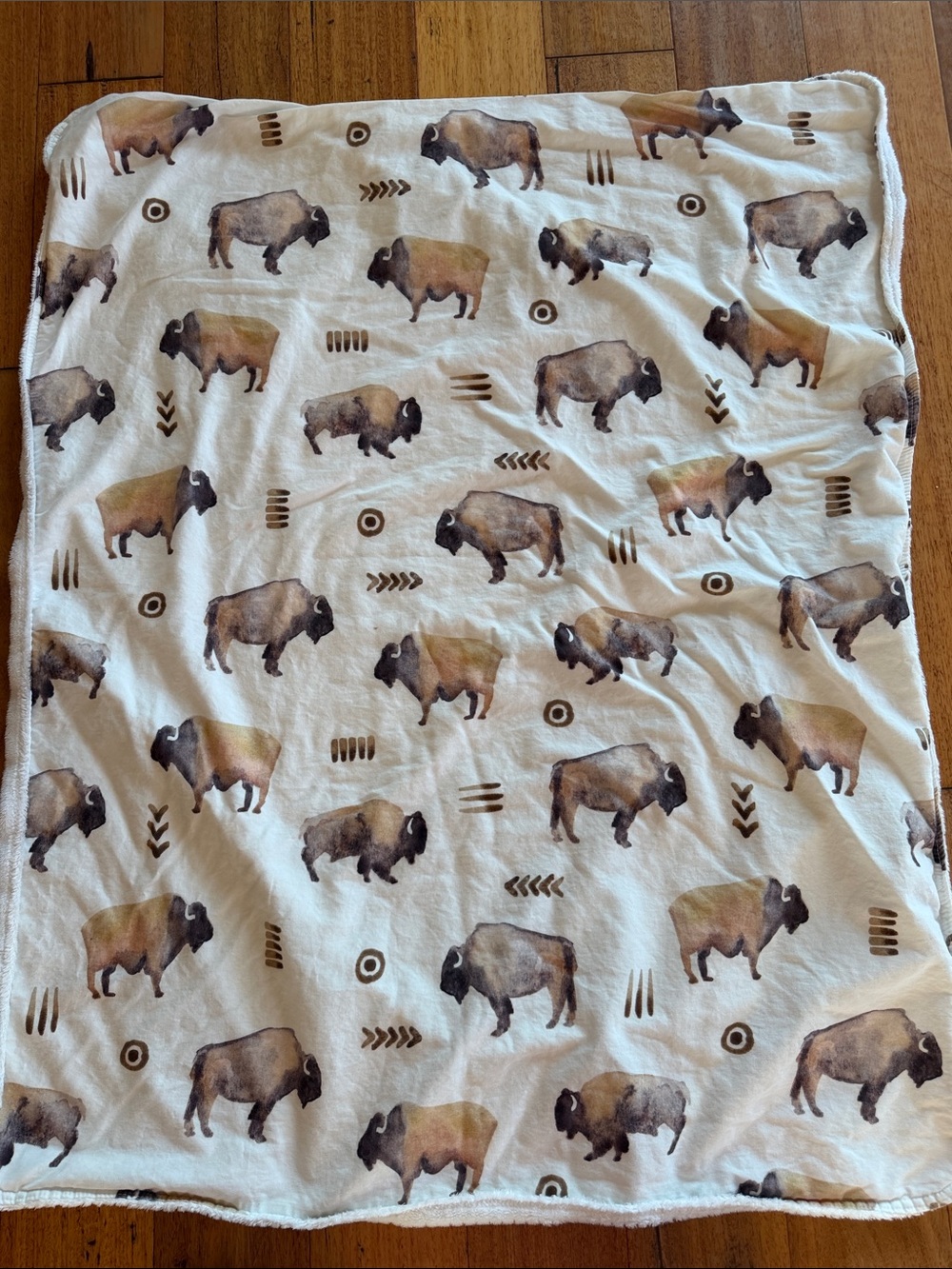 Carousel Designs Southwestern Watercolor Bison Cotton Minky Baby Blanket 34x43 - Picture 5 of 9